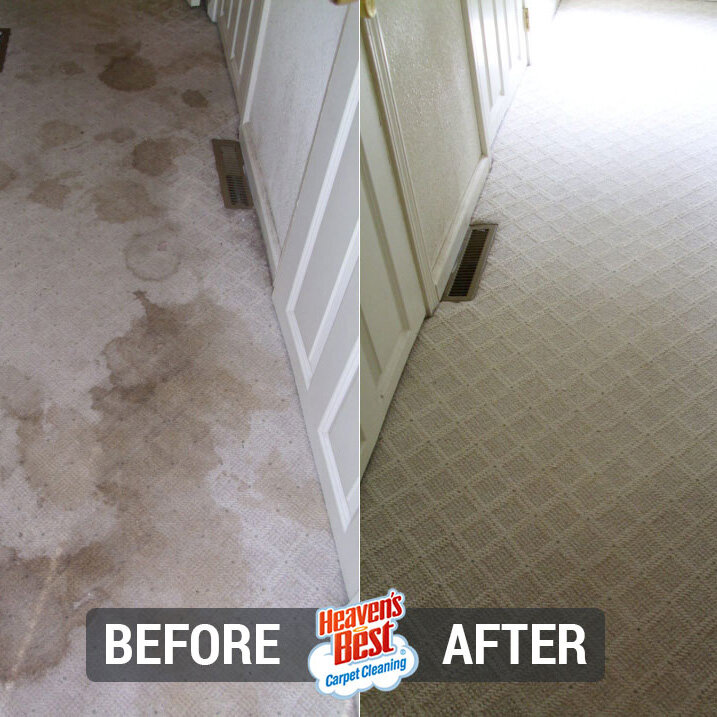 Heaven's Best Carpet Cleaning of Cache Valley