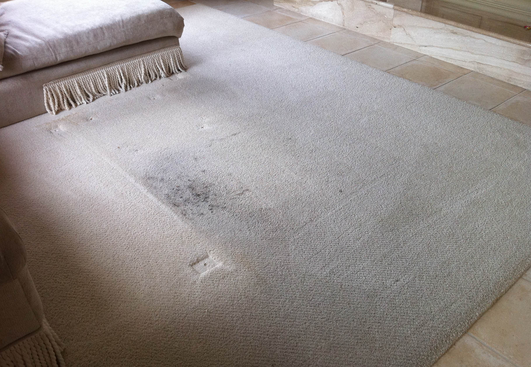 THE BEST 10 Carpet Cleaning near VALLEY, AL 36854 - Services &  Professionals - Last Updated January 2024 - Yelp